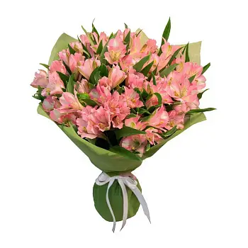 Коралловый риф