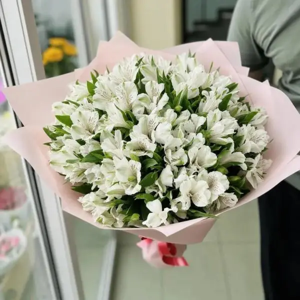 Снежная нежность